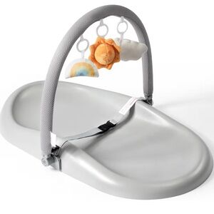 Changing Pad with Toy